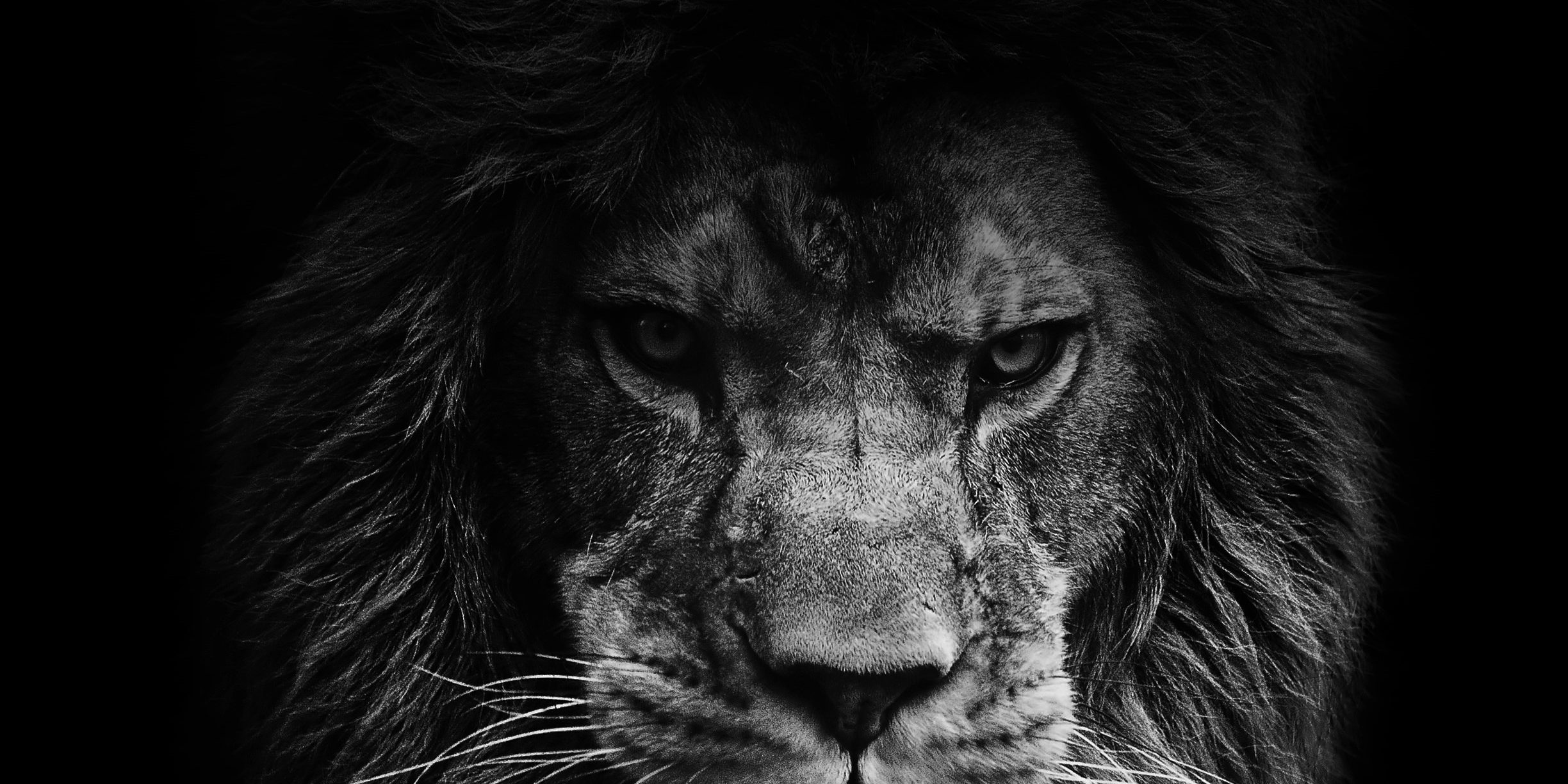 legendary-lion-edited